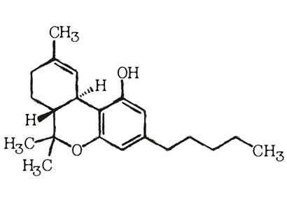 Chemische-Struktur-von-THC