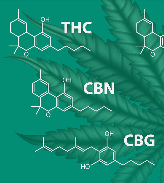 Cannabinoids A List of Cannabinoids and Their Effects  The Cannigma