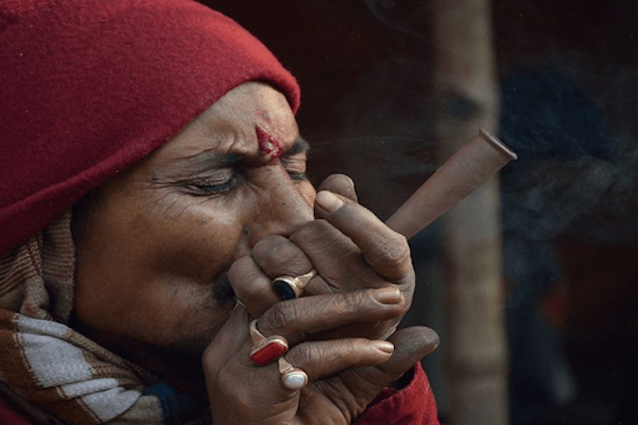Cannabis in the Ayurvedic tradition