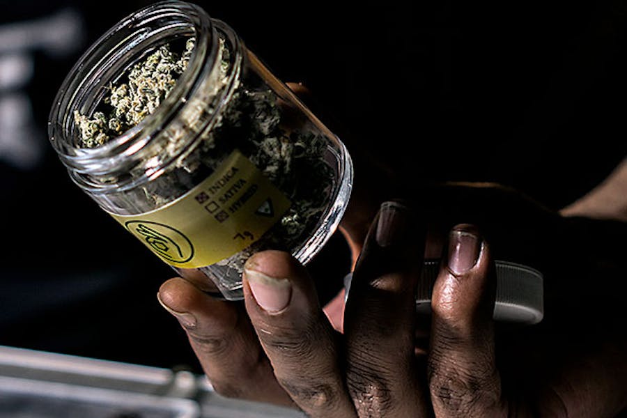 Budtender with a jar of cannabis at a dispensary