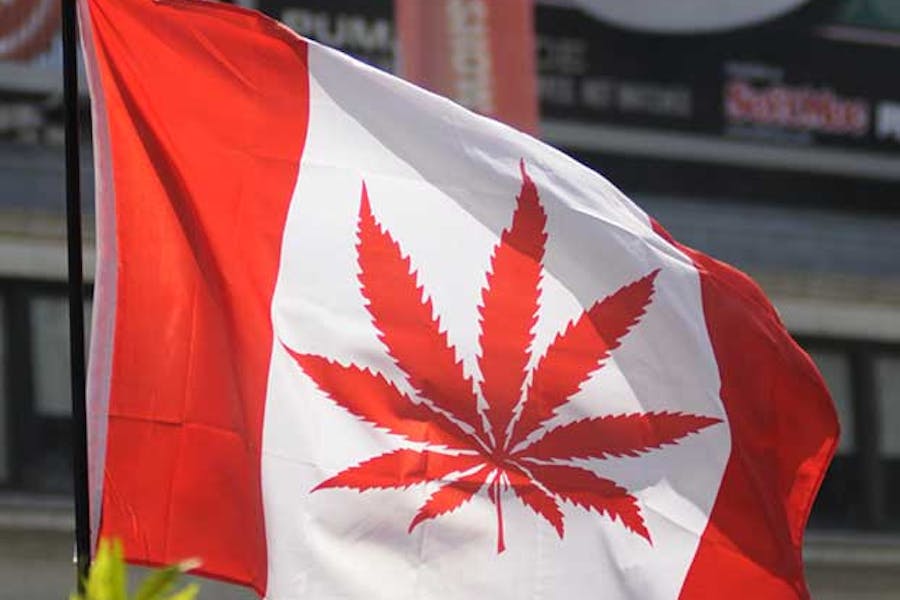 A Canadian flag with a cannabis leaf