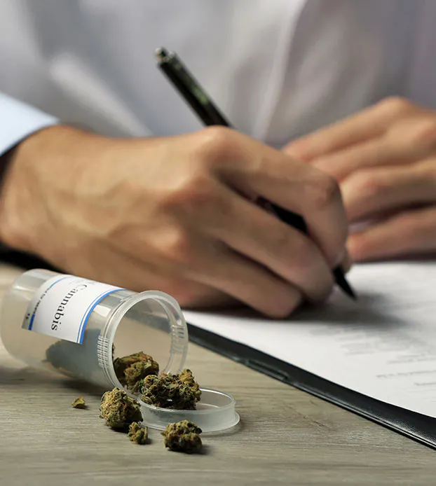 Cannabis Auf Rezept The Cannigma 
