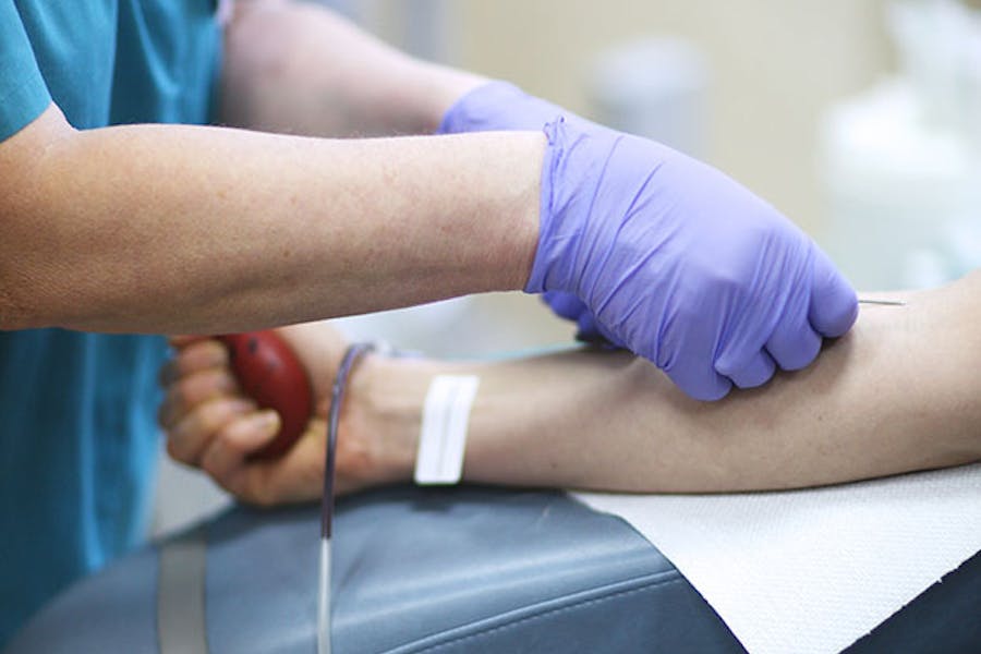 Usuários de cannabis podem doar sangue