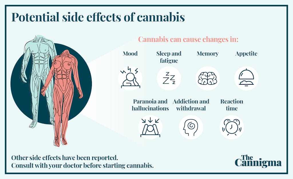 Potential side effects of cannabis
