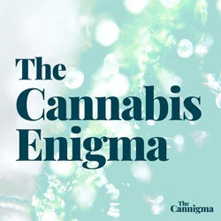 The Cannabis Enigma Podcast