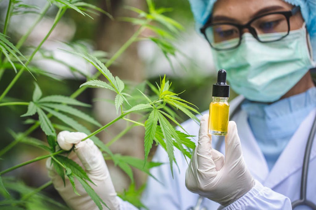 cannabis-scientist-hemp-oil