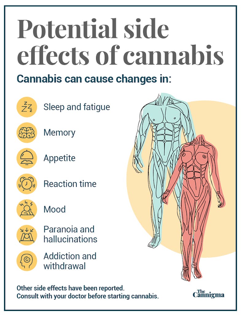 Cannabis Side Effects