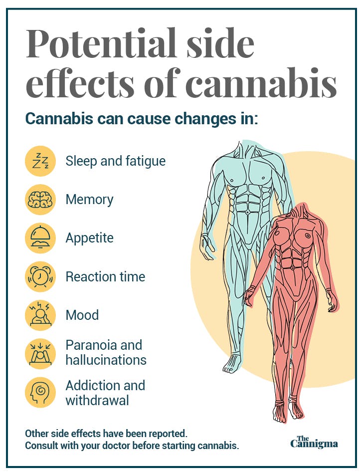 Effets secondaires du cannabis : fatigue, mémoire, appétit, temps de réaction, humeur, paranoïa, dépendance