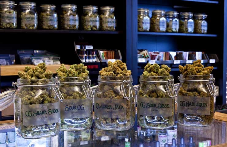 Jars of medical marijuana in a dispensary. (Shutterstock)