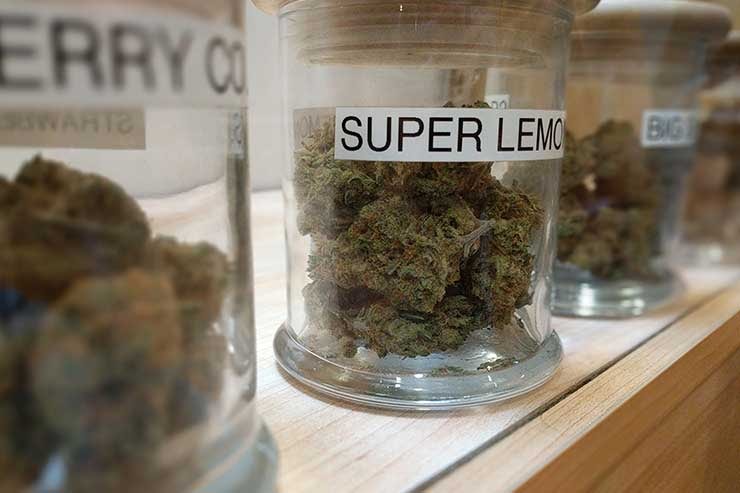 Cannabis strains at a dispensary
