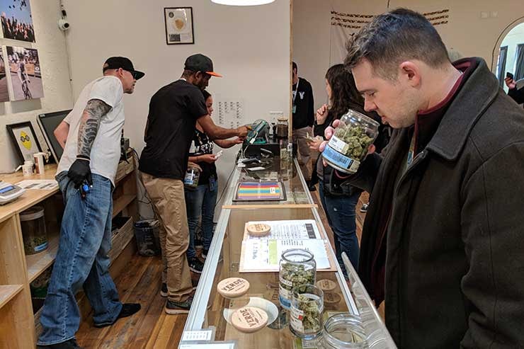Smelling cannabis in a dispensary