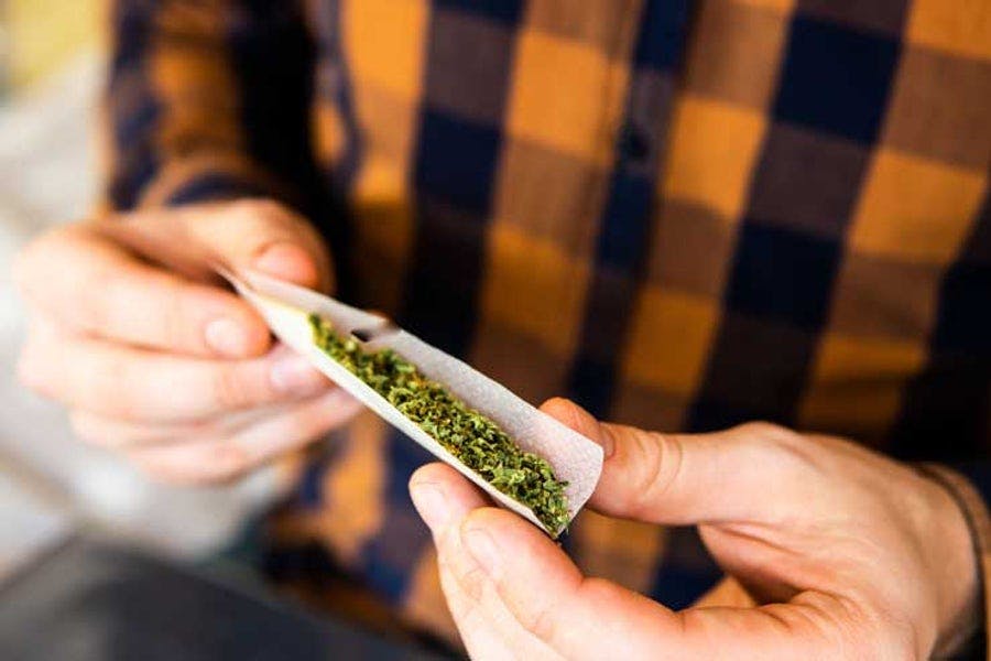 Cannabis Joint Drehen