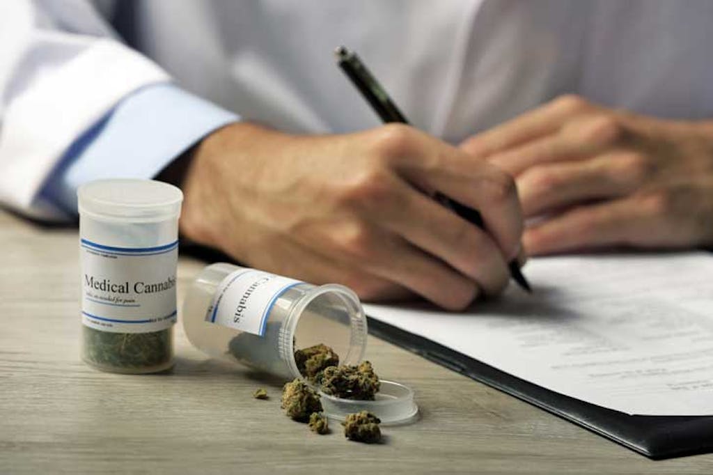 medical cannabis doctor