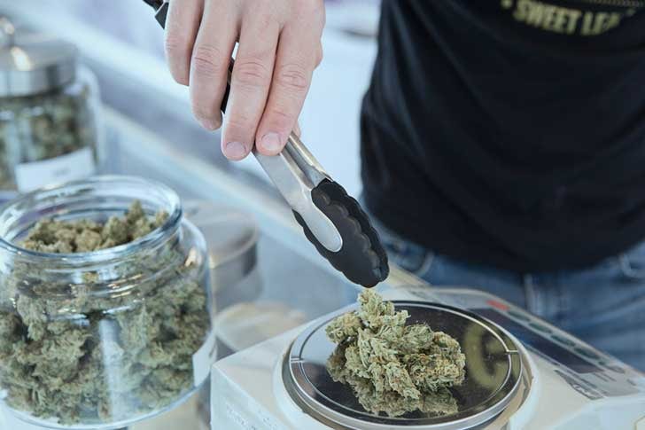 Weighing marijuana at a dispensary