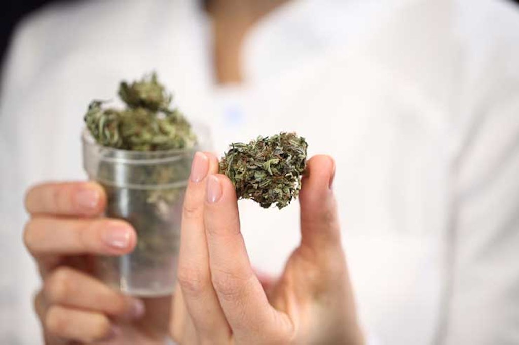 Cannabis flower in a dispensary