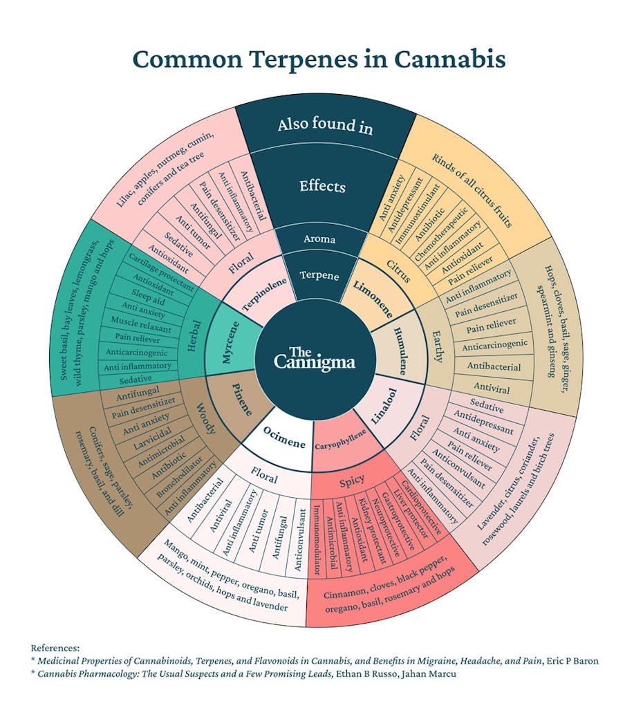 Common terpenes found in cannabis