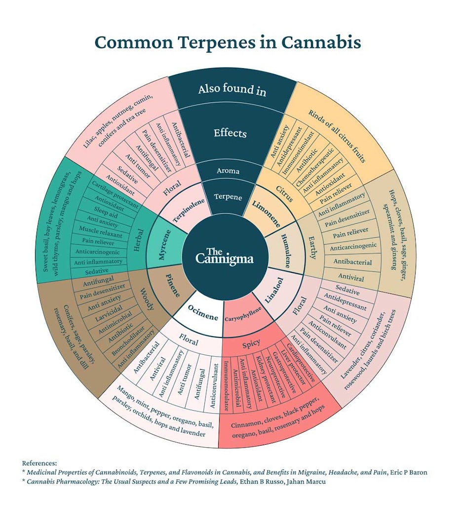 Common terpenes in cannabis