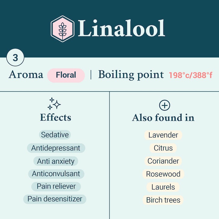 Linalool terpene card
