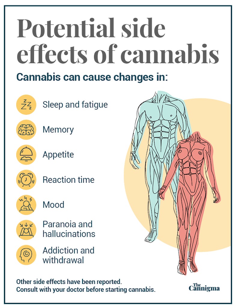 Cannabis side effects: fatigue, memory, appetite, reaction time, mood, paranoia, addiction
