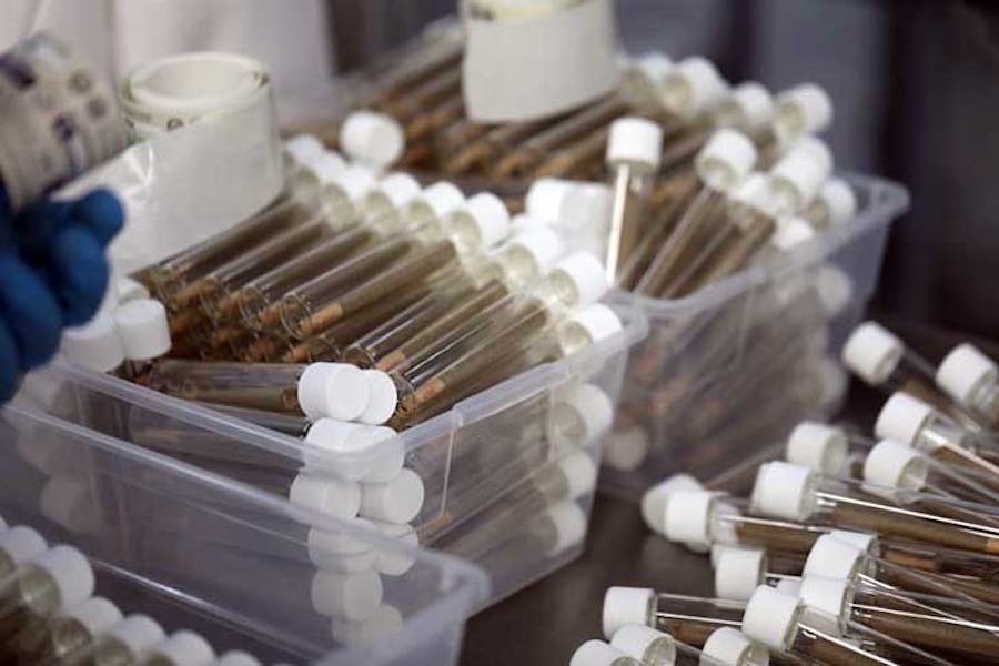 Individually packaged joints are prepared at a processing facility.