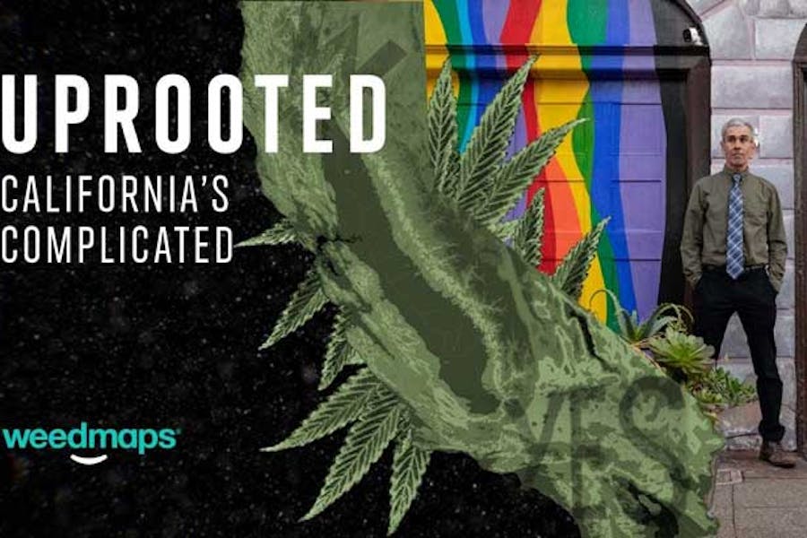 Unrooted, Weedmaps Documentary