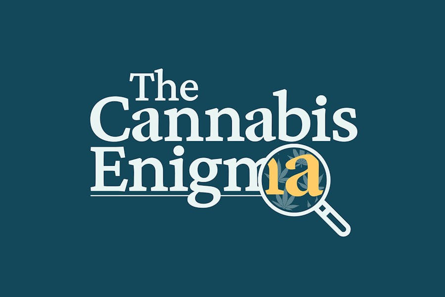 The Cannabis Enigma Podcast