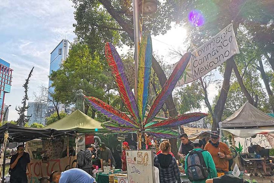 cannabis encampment outside the Mexican Senate building in Mexico City