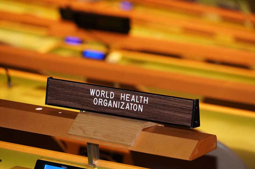 The World Health Organization at the United Nations