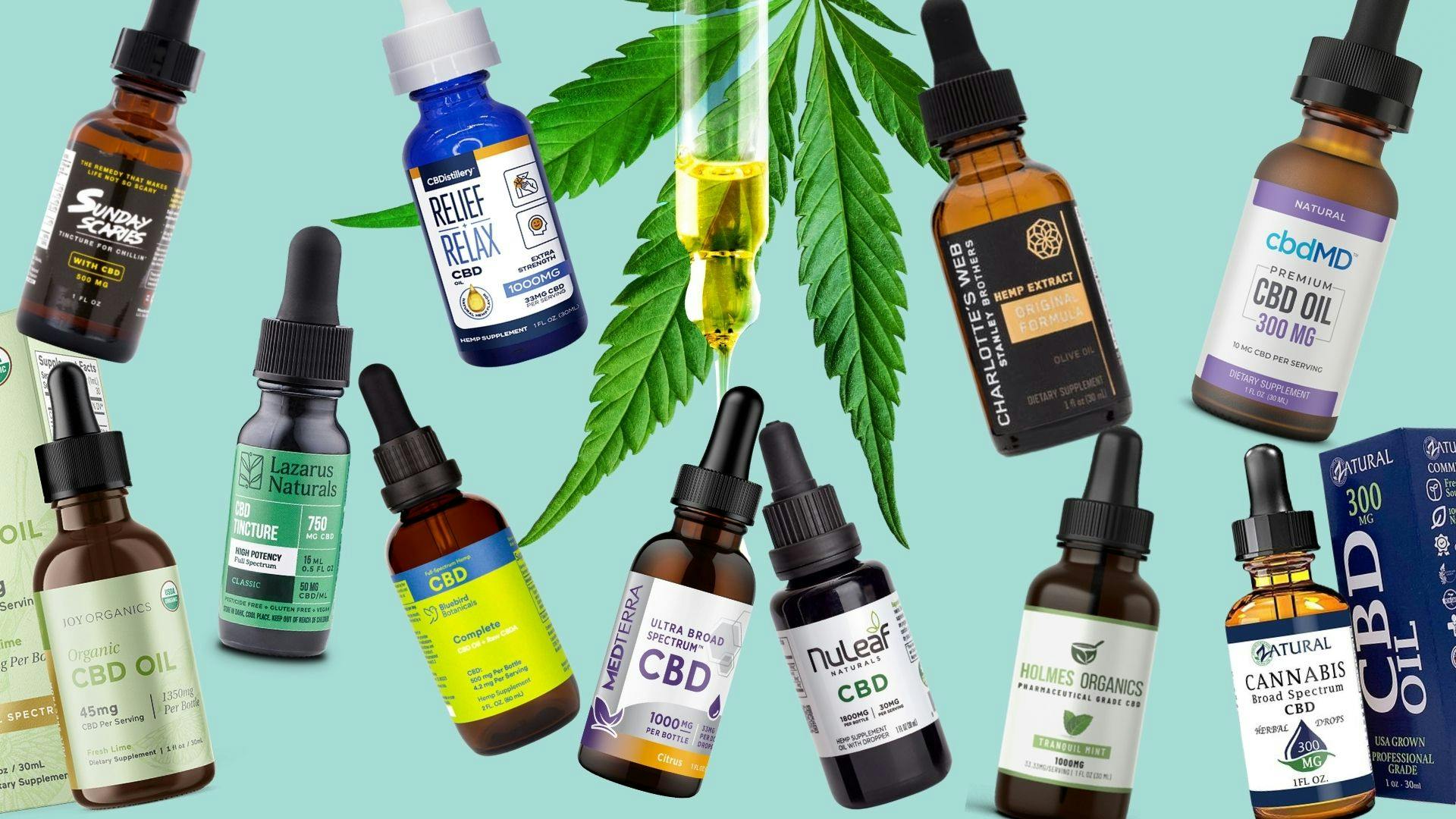 11 Top CBD Oils You Can Try WorryFree The Cannigma