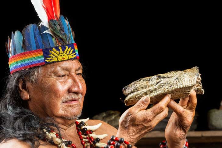 shaman ayahuasca ceremony