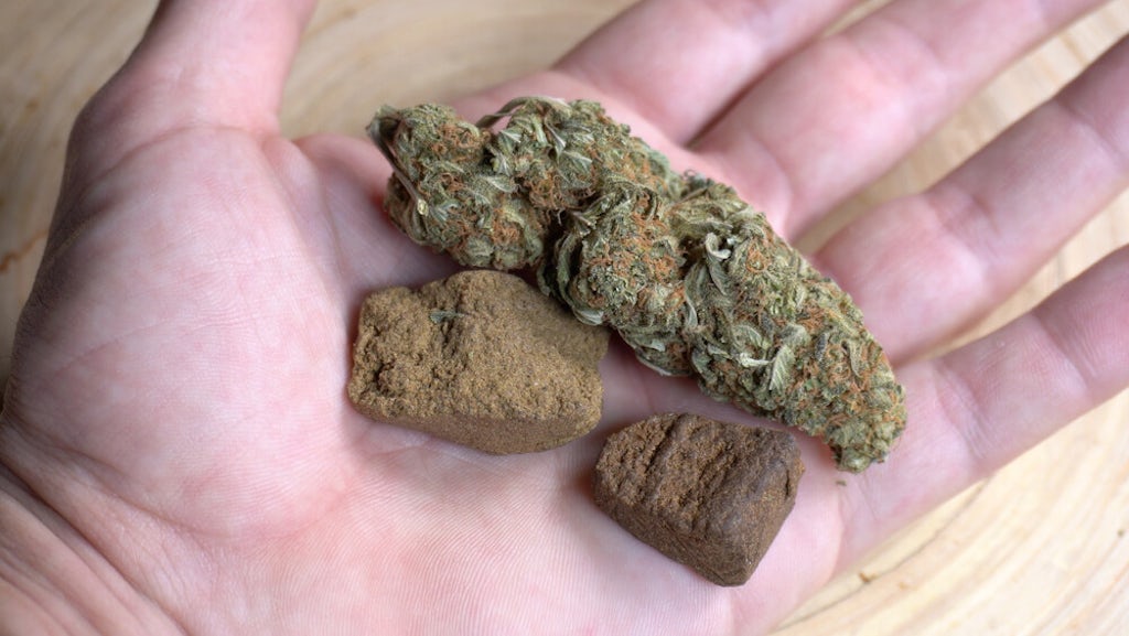 What Is Hash and How Do You Make It? | The Cannigma
