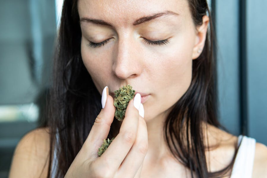 smelling cannabis bud