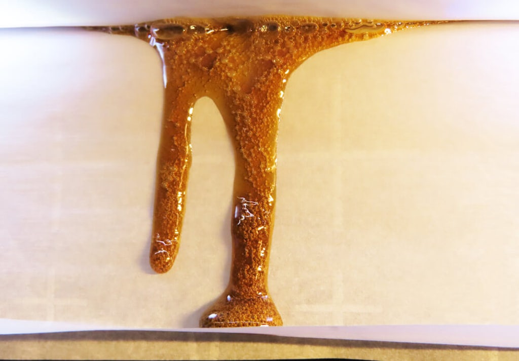 Cannabis rosin dripping out of a rosin press