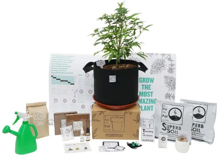Outdoor marijuana grow box