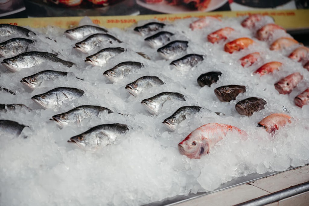 Fresh fish is displayed on ice in a market