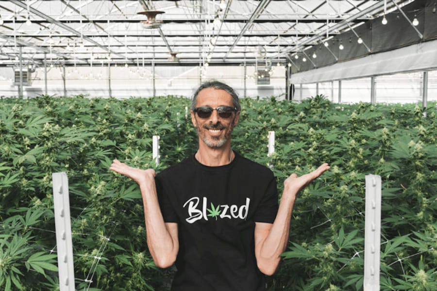 Kyle Kushman shows off his cannabis plants