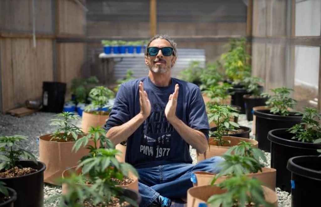 Kyle Kushman meditates among his cannabis plants 