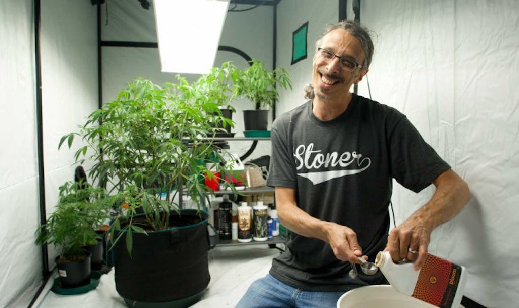 Kyle Kushman measures nutrients for his cannabis plants