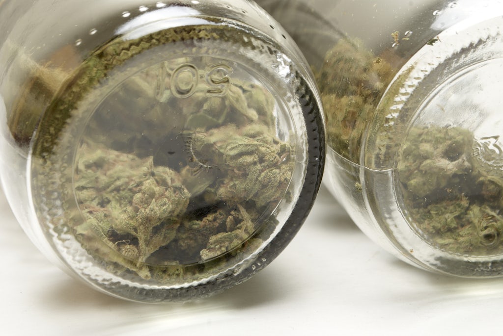 Cannabis in mason jars ahead of making a tincture