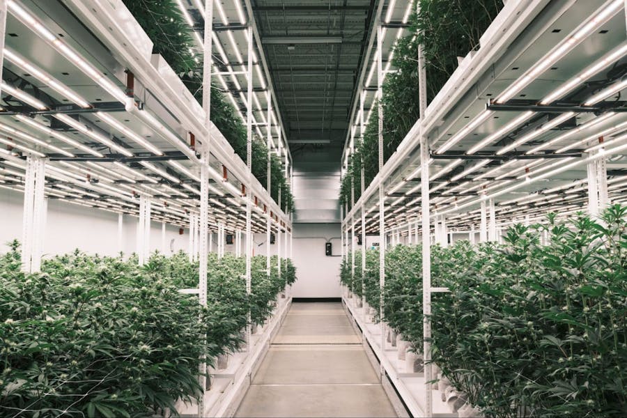 Jushi Holding cultivation facility in Virginia