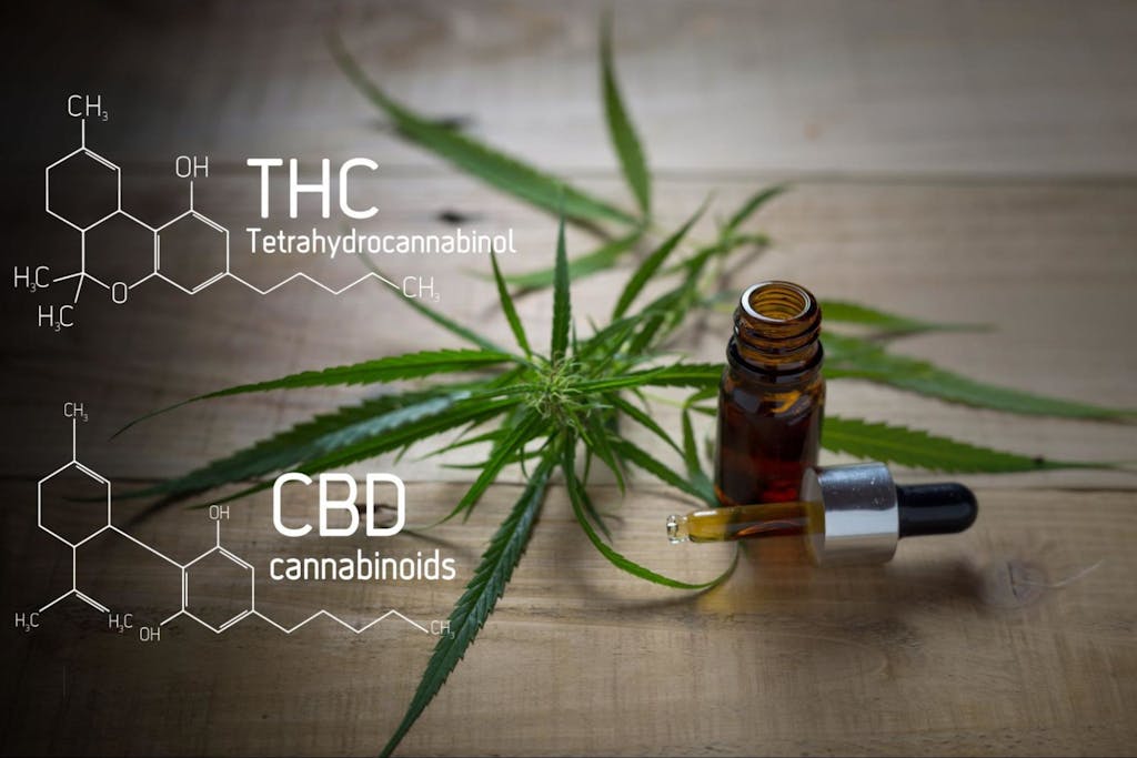 Sowohl THC als auch CBD sind chemisch sehr ähnlich, wirken aber im Körper extrem unterschiedlich (Shutterstock)
