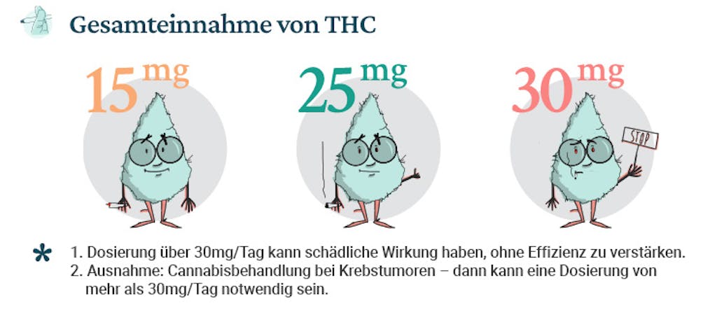 Gesamtdosierungsmengen: Wie man THC über den Tag verlaufend dosiert – für Anfänger, für mittelfristige Nutzer und für erfahrene Nutzer.