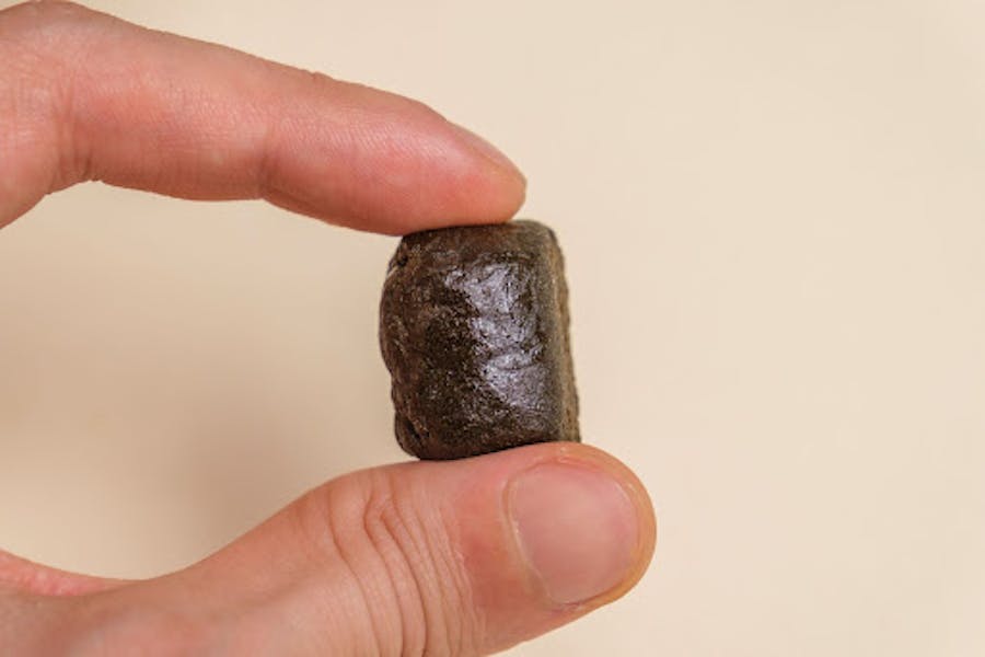 Hash is extracted from cannabis