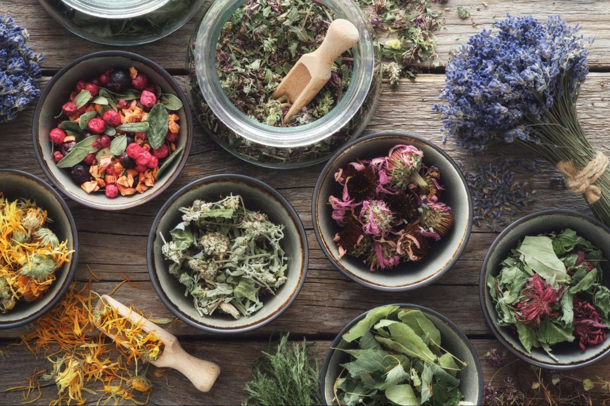 What is herbalism and how does cannabis fit in? | The Cannigma