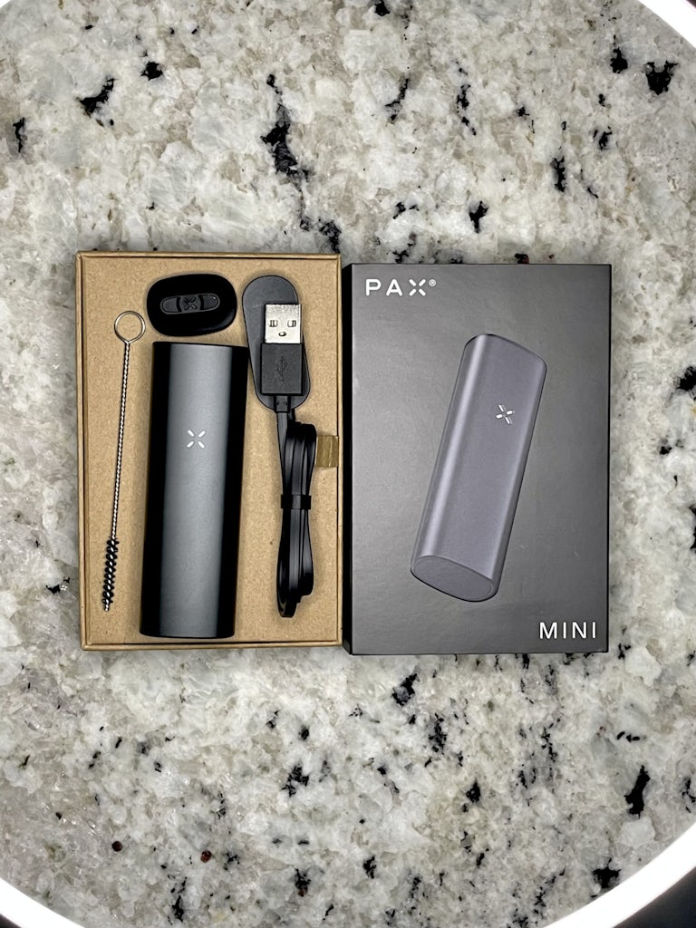 PAX Mini Review - So Easy a Caveman Can Use It