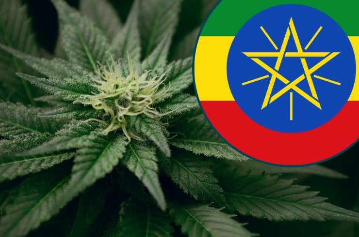 photo of Cannabis laws in Ethiopia image